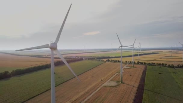 Vista Aérea Los Generadores Aerogeneradores Campo Que Producen Electricidad Ecológica — Vídeo de stock