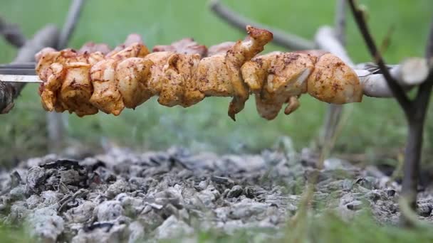 Shashlik Marinado Kebab Shish Que Prepara Uma Grelha Churrasco Sobre — Vídeo de Stock