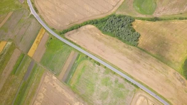 Vista Aérea Del Campo Trigo Agricultura Amarilla Listo Para Ser — Vídeo de stock