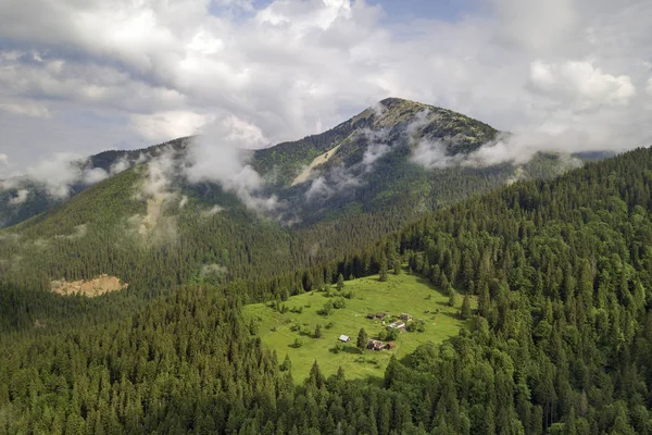 Vista aérea de las verdes montañas de los Cárpatos cubiertas de hoja perenne — Foto de Stock