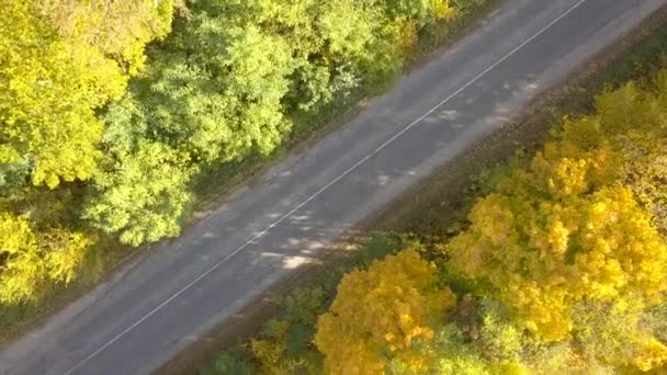 Aerial View Car Road Autumn Forest Bright Orange Yellow Leaves — 비디오