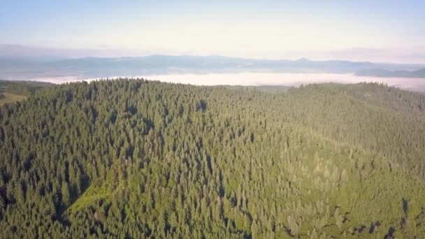 Vista Aérea Montañas Cubiertas Árboles Forestales Con Cielo Azul Por — Vídeos de Stock