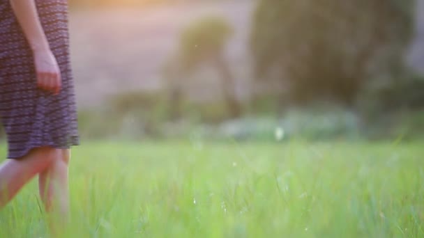 Mujer Joven Vestido Caminando Aire Libre Campo Hierba Atardecer — Vídeos de Stock