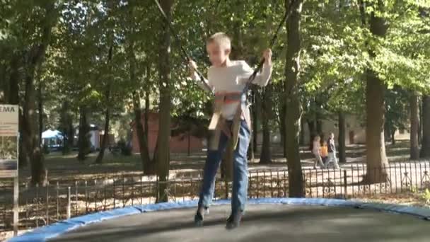 Barnpojke Hoppning Fastsatt Studsmatta Sommarparken — Stockvideo
