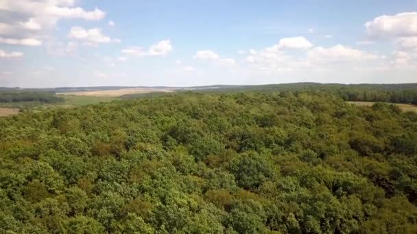 Boven Vanuit Lucht Uitzicht Groen Zomerwoud Met Veel Verse Bomen — Stockvideo