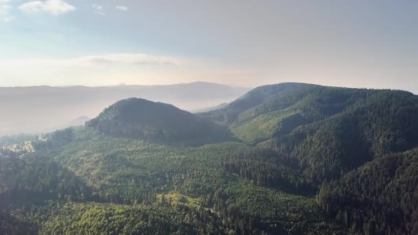 Uitzicht Vanuit Lucht Bergen Bedekt Met Bosbomen Met Blauwe Lucht — Stockvideo