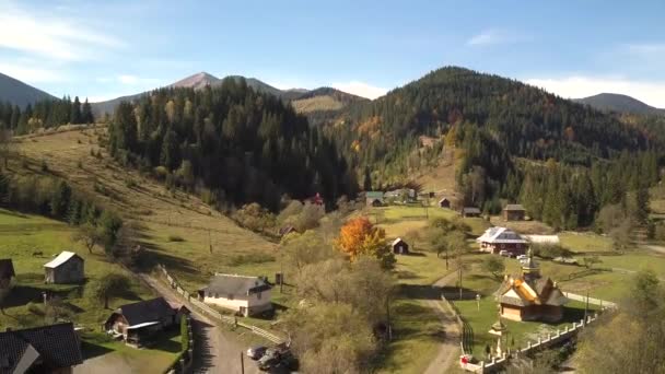 Αεροφωτογραφία Του Φθινοπώρου Ορεινό Τοπίο Αειθαλή Πεύκα Και Κίτρινο Δάσος — Αρχείο Βίντεο