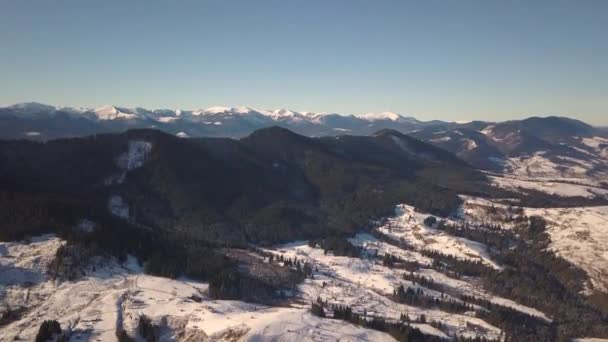 雪の上に散在する家と小さな村の空中ビューは ウクライナの冬と裸の暗いカルパチア山脈の丘をカバー — ストック動画