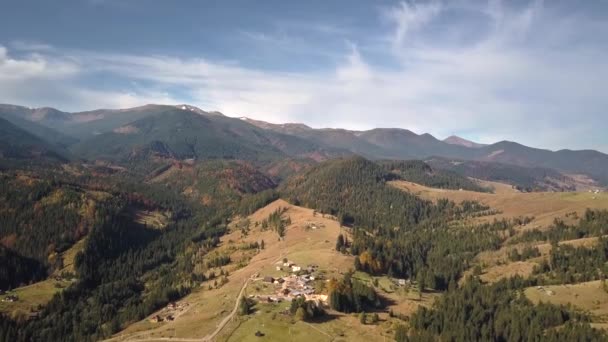 Aerial View Autumn Mountain Landscape Evergreen Pine Trees Yellow Fall — Stock Video