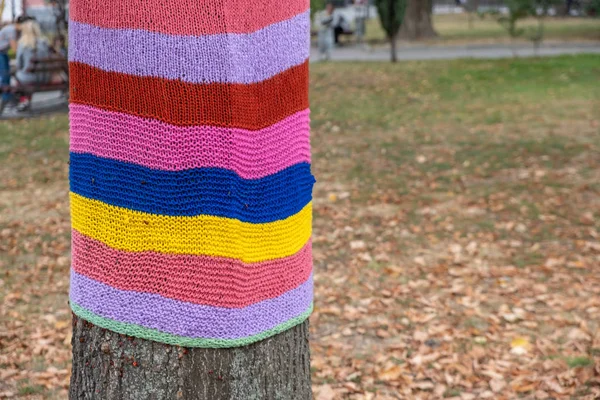秋の公園でカラフルなニットスカーフを着て木。気をつけて — ストック写真