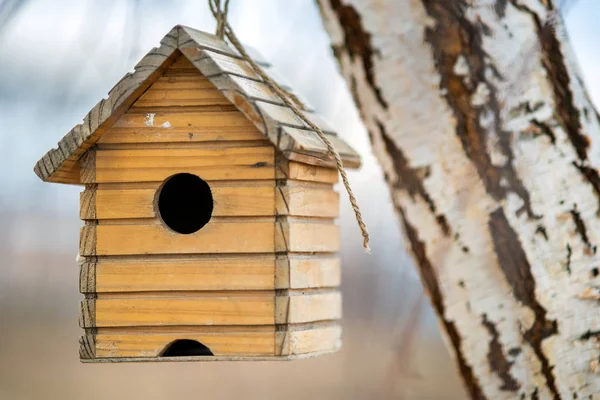 Mały drewniany domek dla ptaków wiszący na gałęzi drzewa na zewnątrz. — Zdjęcie stockowe