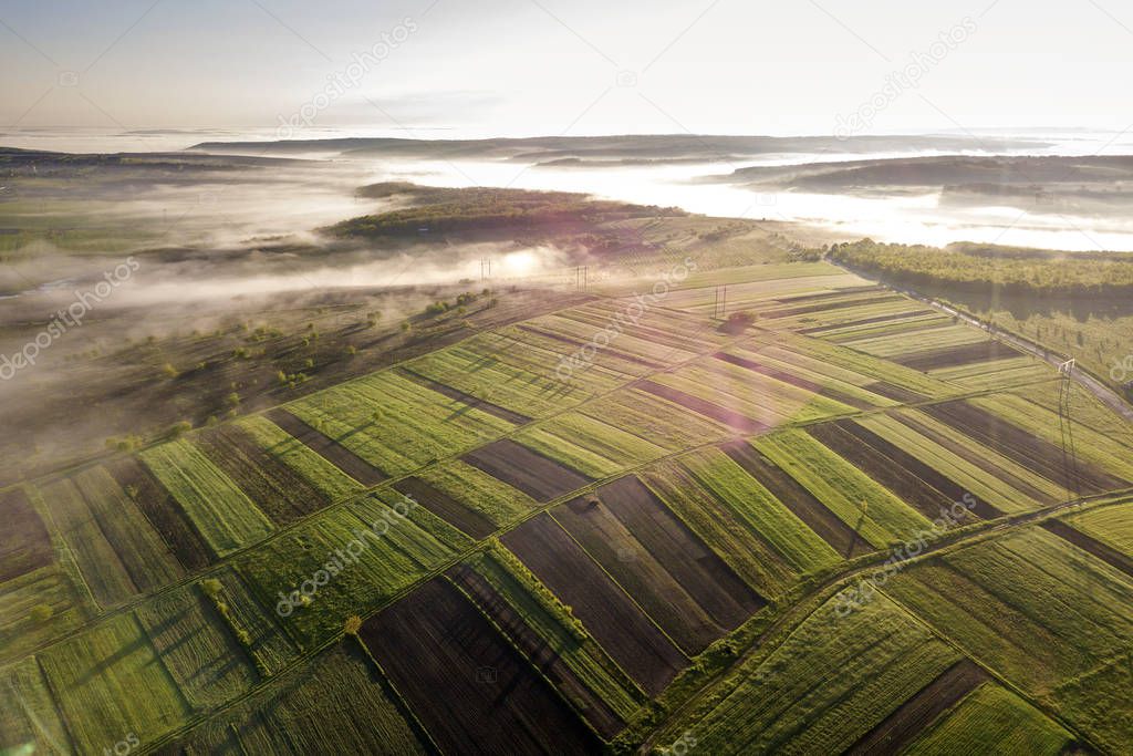 Agricultural landscape from air on sunny spring dawn. Green and 