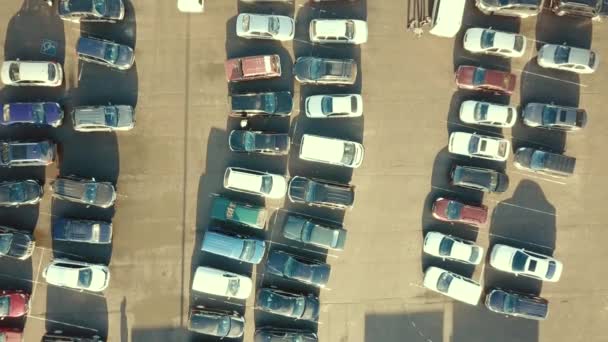 Вид Зверху Повітря Багатьох Автомобілів Парковці Супермаркету Або Ринку Дилерів — стокове відео