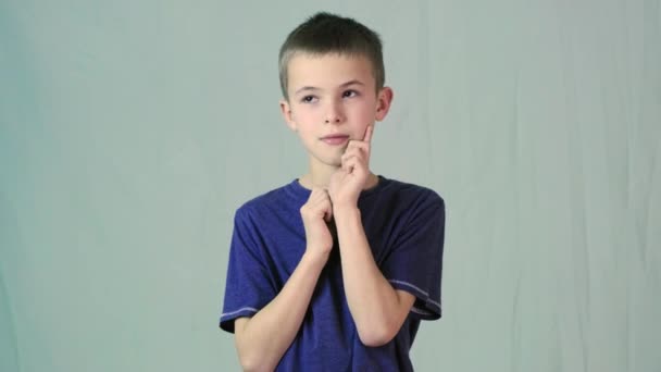 Портрет Мальчика Пожимающего Плечами Делающего Невинным Знаю Выражение Лица — стоковое видео