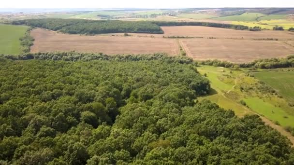 Vista Aérea Arriba Hacia Abajo Del Verde Bosque Verano Con — Vídeos de Stock