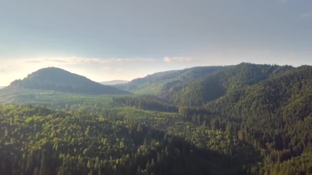 Uitzicht Vanuit Lucht Bergen Bedekt Met Bosbomen Met Blauwe Lucht — Stockvideo
