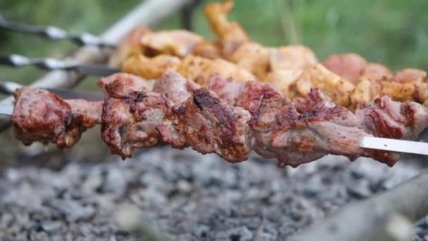 Shashlik Marinado Kebab Shish Que Prepara Uma Grelha Churrasco Sobre — Vídeo de Stock