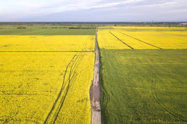 Yeşil f yağmur su birikintileri ile düz zemin yol havadan görünümü