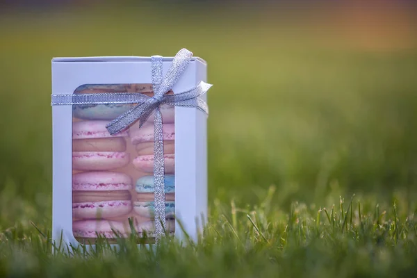녹색 잔디 흐리게 배경에 다채로운 핑크 블루 수제 마카롱 쿠키 골판지 선물 상자. — 스톡 사진