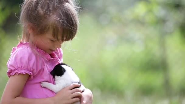 Гарненька Дівчинка Грає Маленьким Цуценям Відкритому Повітрі Влітку — стокове відео