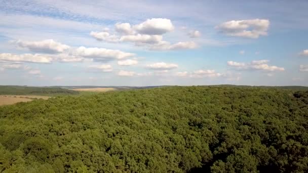Top Aerial View Green Summer Forest Many Fresh Trees — Stock Video