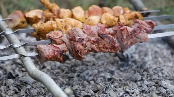 Shashlik Marinado Kebab Shish Que Prepara Uma Grelha Churrasco Sobre — Vídeo de Stock