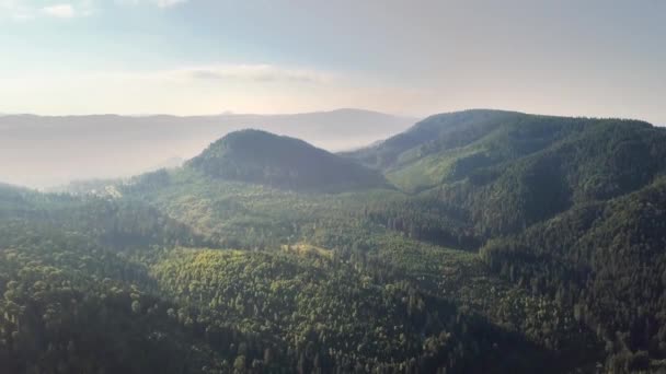 頭上に青空が広がる森の木々に覆われた山々の空中風景 — ストック動画