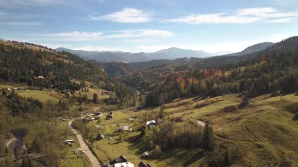 Aerial View Autumn Mountain Landscape Evergreen Pine Trees Yellow Fall — Stock Video