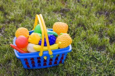 Oyuncak meyve ve sebze ile parlak plastik renkli sepet OU