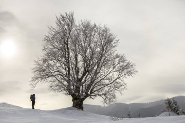 Beyaz temiz içinde sırt çantası ayakta turist otostopçu arka görünümü