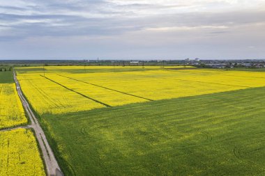 Yeşil f yağmur su birikintileri ile düz zemin yol havadan görünümü