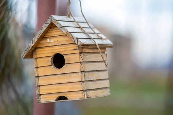 Pequeña casa de pájaros de madera colgando de una rama de árbol al aire libre . —  Fotos de Stock