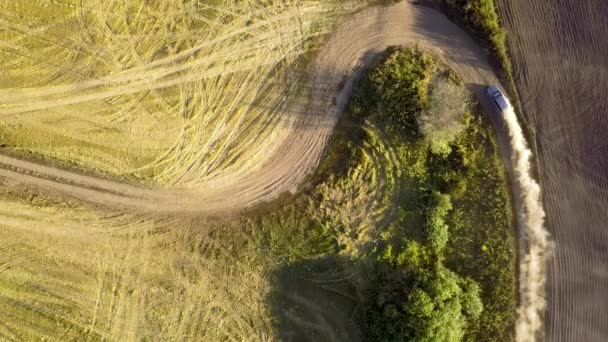 Visão Aérea Cima Para Baixo Carro Condução Rápida Estrada Terra — Vídeo de Stock