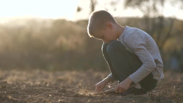 日落时 小男孩拿着棍子在黑土地里挖 — 图库视频影像