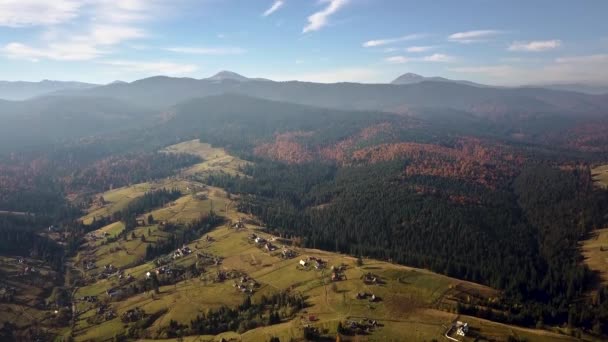 Вид Воздуха Осенний Горный Ландшафт Вечнозелеными Соснами Желтым Осенним Лесом — стоковое видео