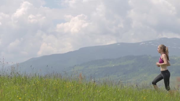 若いです女性観光客で手を上げますヨガのジェスチャーでハイキングで夏の山 — ストック動画