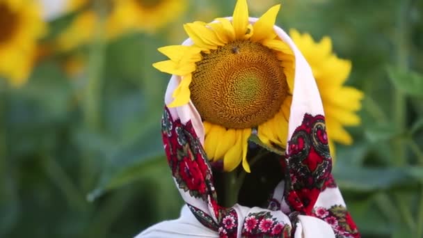Nahaufnahme Von Gelben Sonnenblumen Die Sich Bei Leichtem Wind Grünen — Stockvideo