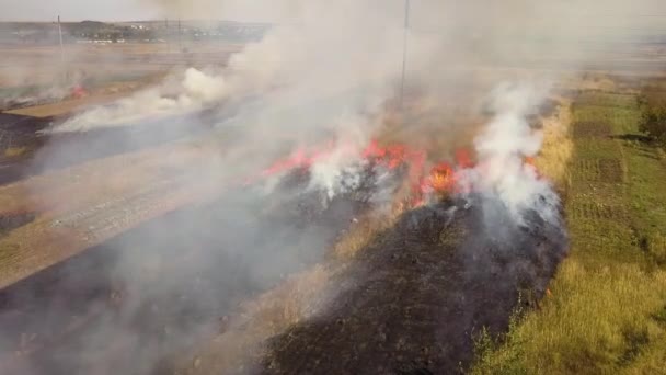 Vue aérienne de l'herbe brûlée dans le champ.