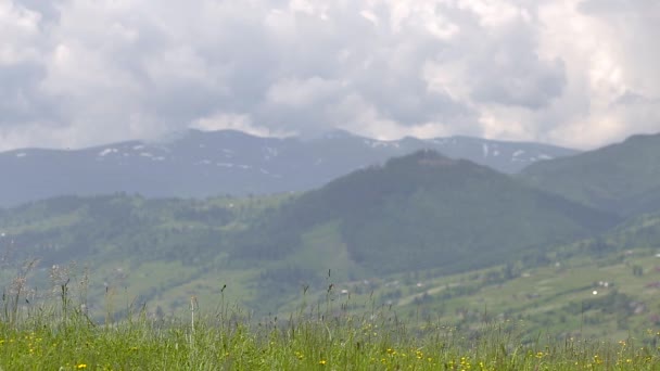 大きな山の背景のぼやけている緑の芝生を少し動かす光の風 — ストック動画