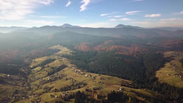 Αεροφωτογραφία Του Φθινοπώρου Ορεινό Τοπίο Αειθαλή Πεύκα Και Κίτρινο Δάσος — Αρχείο Βίντεο