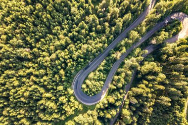 Aerial view of winding road in high mountain pass trough dense g