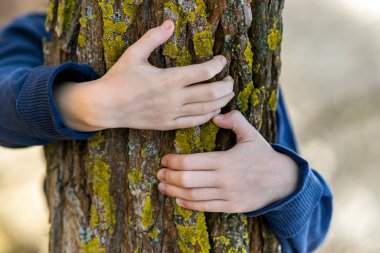 Ağaç gövdesini kucaklayan çocuk ellerine yaklaş.