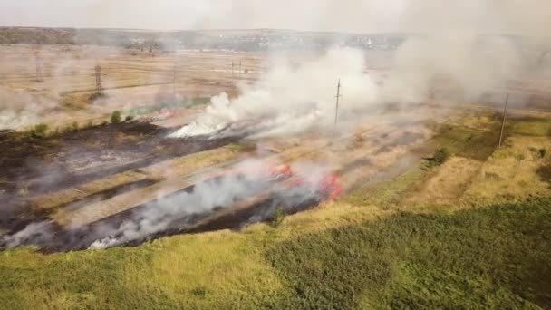 Vue aérienne de l'herbe brûlée dans le champ.