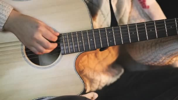 Крупный План Женщины Музыканта Играющей Гитаре Возле Костра Ночью Фоне — стоковое видео