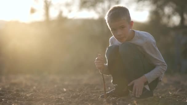 Дитячий Хлопчик Копає Палицею Землі Чорноземного Поля Заході Сонця — стокове відео