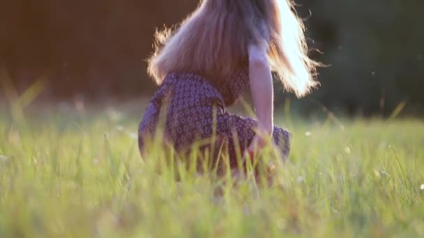 有一头长发的年轻女子坐在室外的夏田草地上 日落时享受大自然的美景 — 图库视频影像