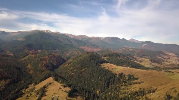 Vista Aérea Paisagem Montanha Outono Com Pinheiros Sempre Verdes Floresta — Vídeo de Stock