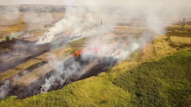 Vue aérienne de l'herbe brûlée dans le champ.
