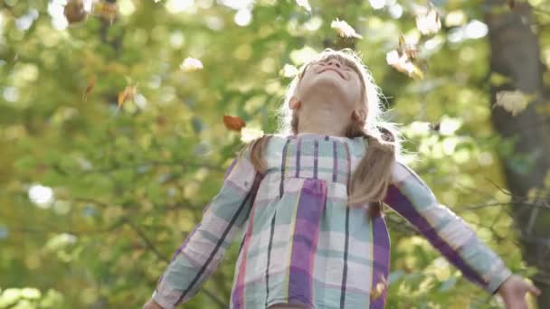 Retrato Niña Feliz Con Racimo Hojas Amarillas Otoño Sonriendo Cámara — Vídeo de stock