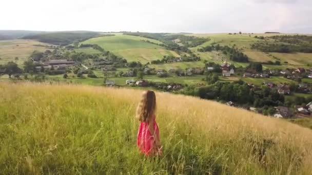 Mujer Yong Con Pelo Largo Vestido Rojo Caminando Campo Verano — Vídeo de stock